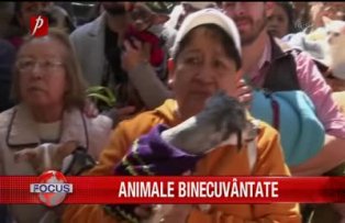 Animale binecuvantate