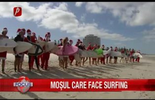 Mosul care face surfing
