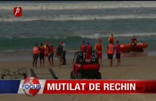 Mutilat de rechin