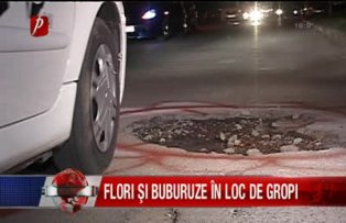 Flori si buburuze in loc de gropi