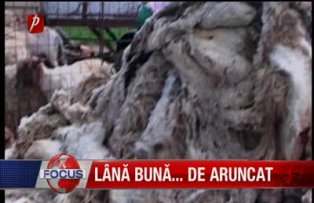 Lana buna de aruncat