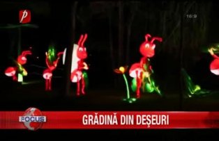 Gradina din deseuri