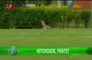 Hitchcock, frate!