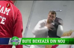 Bute boxează din nou