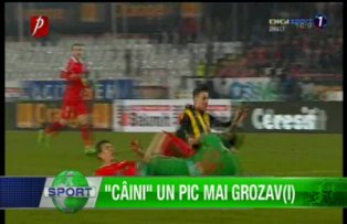 "Câini" un pic mai Grozav(i)