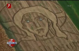 Agricultorul cu talent artistic