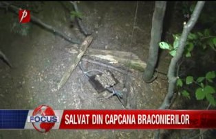 Salvat din capcana braconierilor