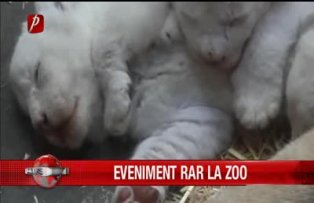 Eveniment rar la Zoo