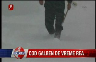 Cod galben de vreme rea