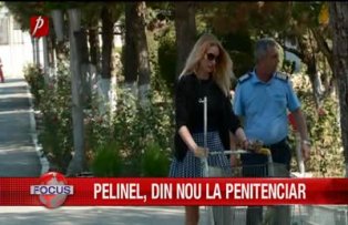 Pelinel, din nou la penitenciar