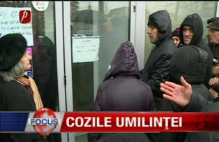 Cozile umilintei