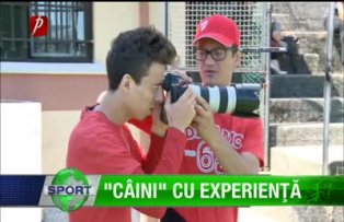 "Câini" cu experienţă