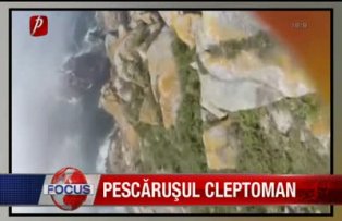 Pescarusul cleptoman