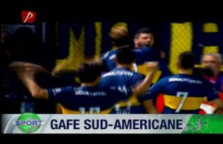 Gafe sud-americane