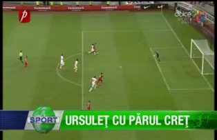 Ursuleţ cu părul creţ