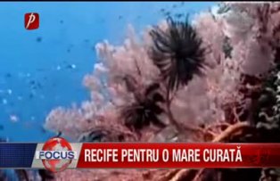 Recife pentru o mare curata