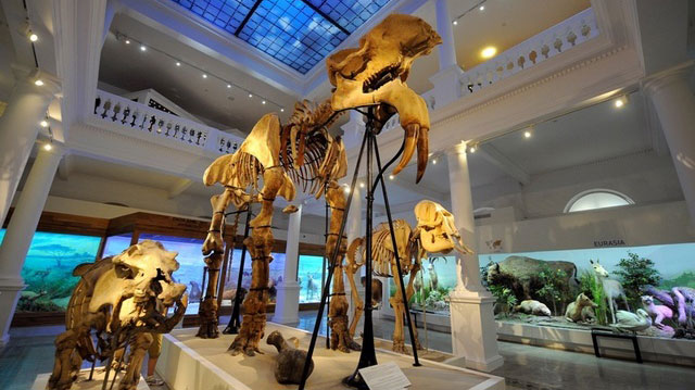 Muzeu, caut slogan! Publicul este invitat sa ajute la creearea celui mai potrivit text pentru cel mai interactiv muzeu al capitalei!