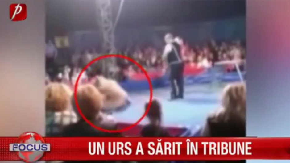 Sperietură groaznică pentru spectatorii unui circ pe gheaţă din Ucraina