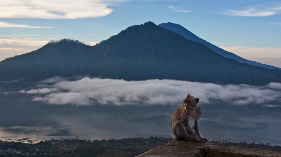 7 cele mai frumoase locuri de explorat in Bali