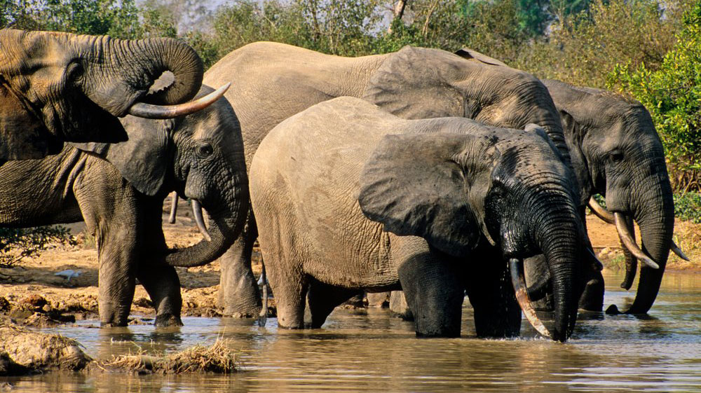 Vacanta in Africa. 5 destinatii suprinzatoare pe continent